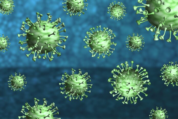 CORONA VIRUS