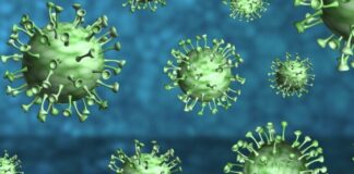 CORONA VIRUS