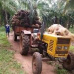 ఆయిల్ పామ్ రైతులకు మరింత రవాణా ప్రోత్సాహకం ఇస్తున్న 3 ఎఫ్ ఆయిల్ పామ్ సంస్థ TRACTOR