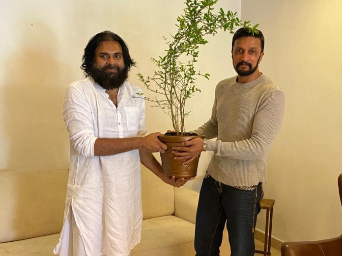 kichcha sudeep
