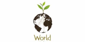 world soil day