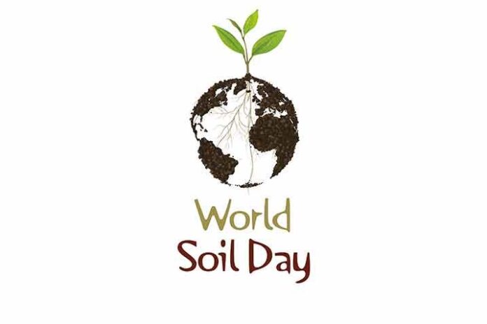 world soil day