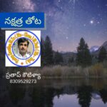నక్షత్ర తోట koutilya
